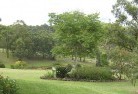 Rosalie Plainsresidential-landscaping-40.jpg; ?>